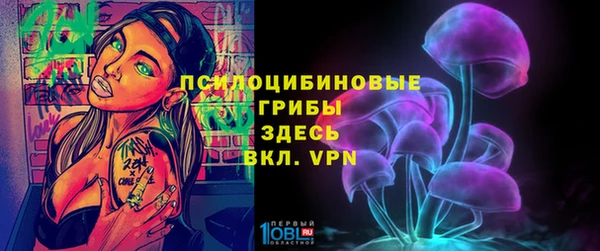 соль курить ск Нязепетровск