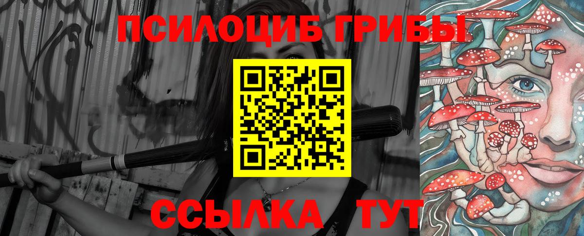 Шатура  Галлюциногенные грибы мухоморы  где купить наркоту  Псилоцибиновые грибы прущие грибы  Вход с VPN 